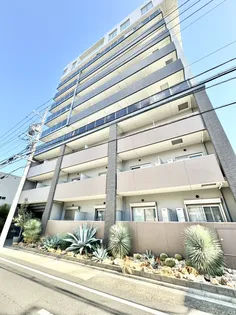 ヴェルドミールの画像