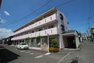 チェリーパイⅡの画像