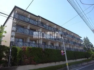 エルハイツ成増 W棟の画像