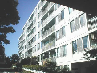 東寺尾ハイツA棟の画像