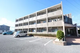 ライラック1の画像