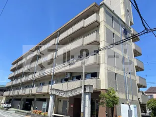 パイオニア松井の画像