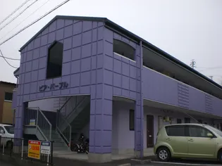 パープルエールの画像