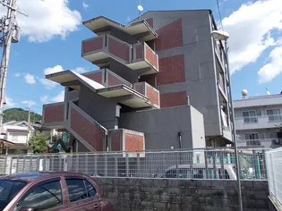 サンシーガルIIIの画像