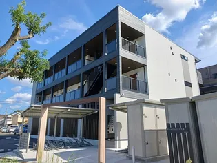 ヒカルサつくば花畑の画像