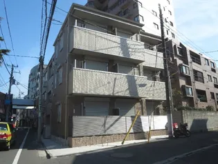 ステラカーサの画像