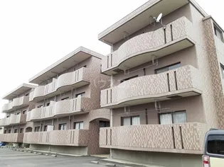 ガーディン師岡の画像