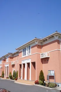 プリムローズT K Aの画像