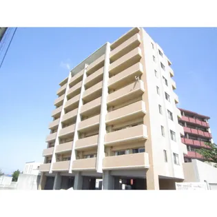 セリジェ クレールの画像