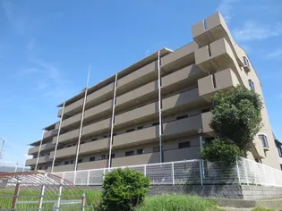 アーク八品の画像