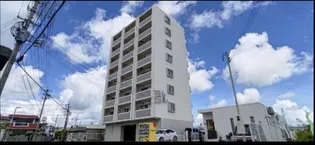 MERAVIGLIA大政の画像