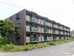 シュペルノーヴァ ヤマナカの画像