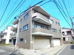 アムールMの画像