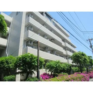 エンジェルス守屋の画像