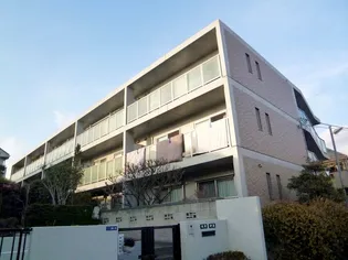GRACE SASAの画像