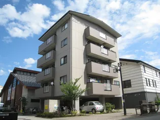 ビエントーレの画像