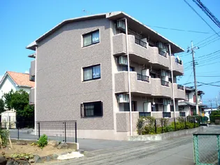 マ メゾンMの画像