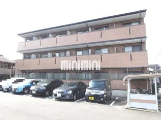 アイリス コートの画像