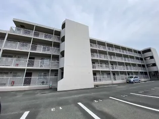 静岡県浜松市中央区初生町【マンション】の外観
