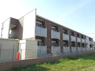 ミランダアルカの画像