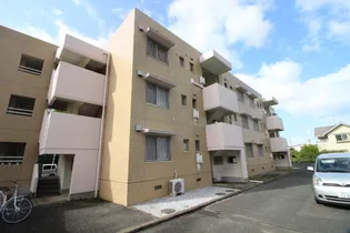 桜ハイツ【2階】の外観