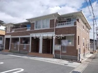 ボニート シエルの画像