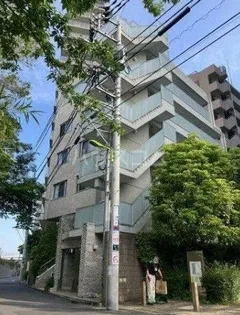 カメリアコートフタコタマガワの画像