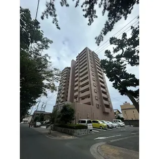 ネオステージ八幡ロイヤルタワーの画像