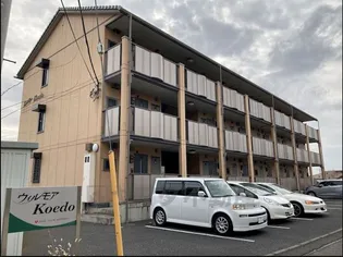 ウィルモアKOEDOの画像