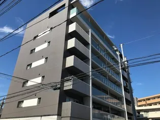 エルアルコンの画像