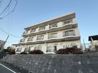 グレース天野の画像