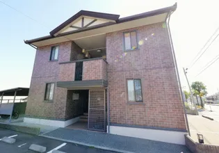 ウィルモア リプルの画像