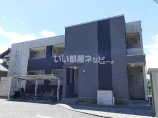 ルピナス セレーノの画像