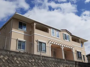 サニーかずらわらの画像