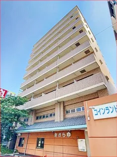 ロイヤルの画像