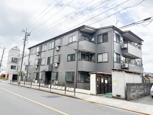 ハイツハンの画像