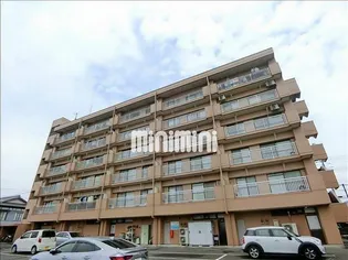 寺澤ハイツ【5階】の外観