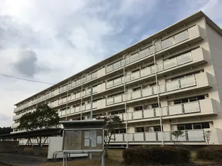 ビレッジハウス楠II2号棟【5階】の外観