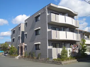 リリアーレの画像