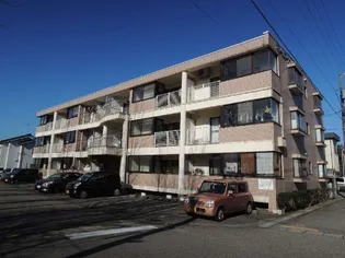 ライフインハタの画像