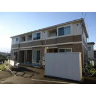 フラット コスモスの画像