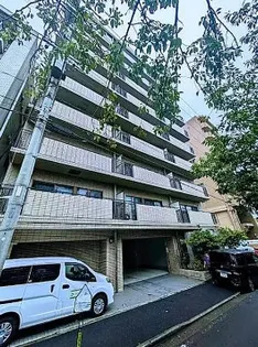 バイムフルス白金Iの画像