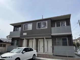 アルカンシェル樹の画像