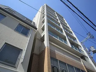 ドマーニの画像