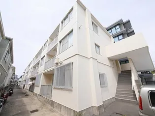 フラットスズキの画像