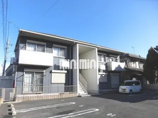 セネシオ Aの画像