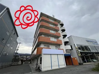 グリーンノースの画像