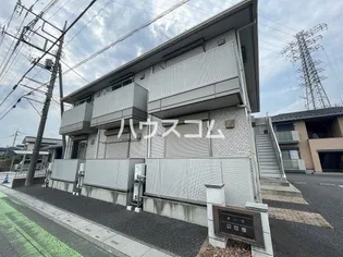 サーラの画像