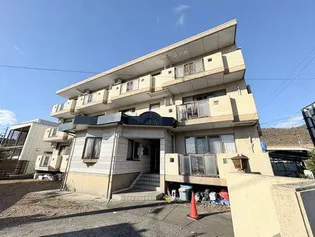 グレース ヒロの画像