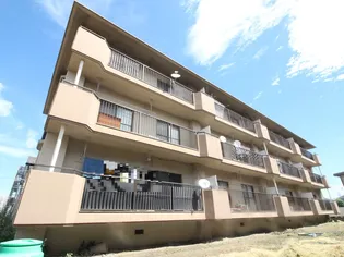 丸広ハイツ【3階】の外観